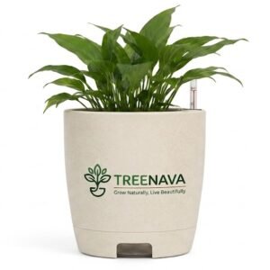 Treenava Self-Watering Planter