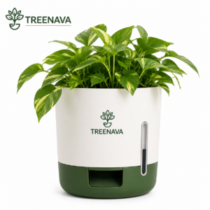 TREENAVA Self-Watering Plant Pot